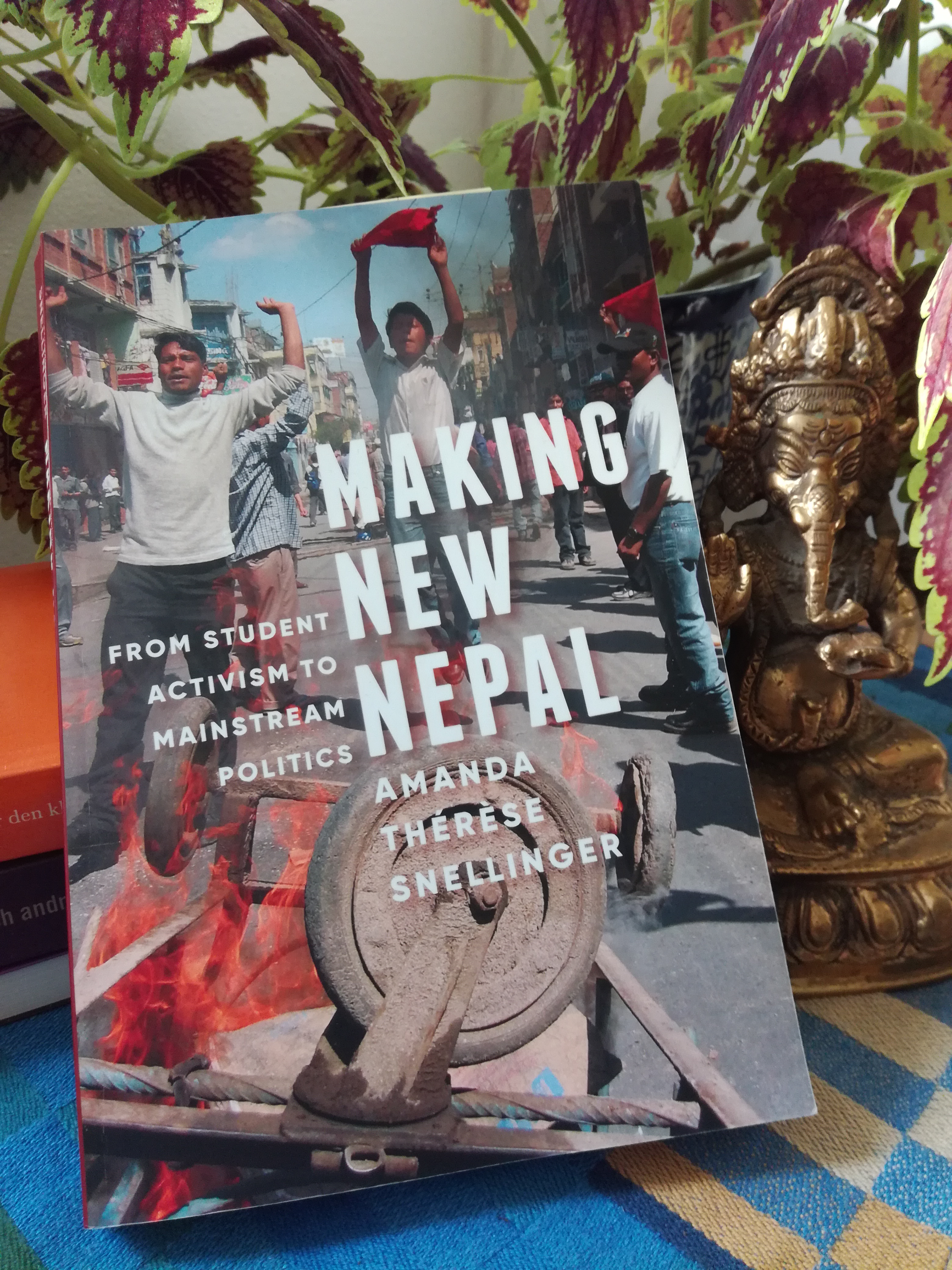 I boken Making New Nepal beskriver antropologen Amanda Thérése Snellinger studentkårernas roll i Nepals politik.