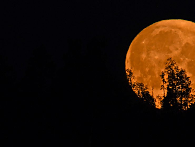 Fullmåne i Sverige 24 juli 2021