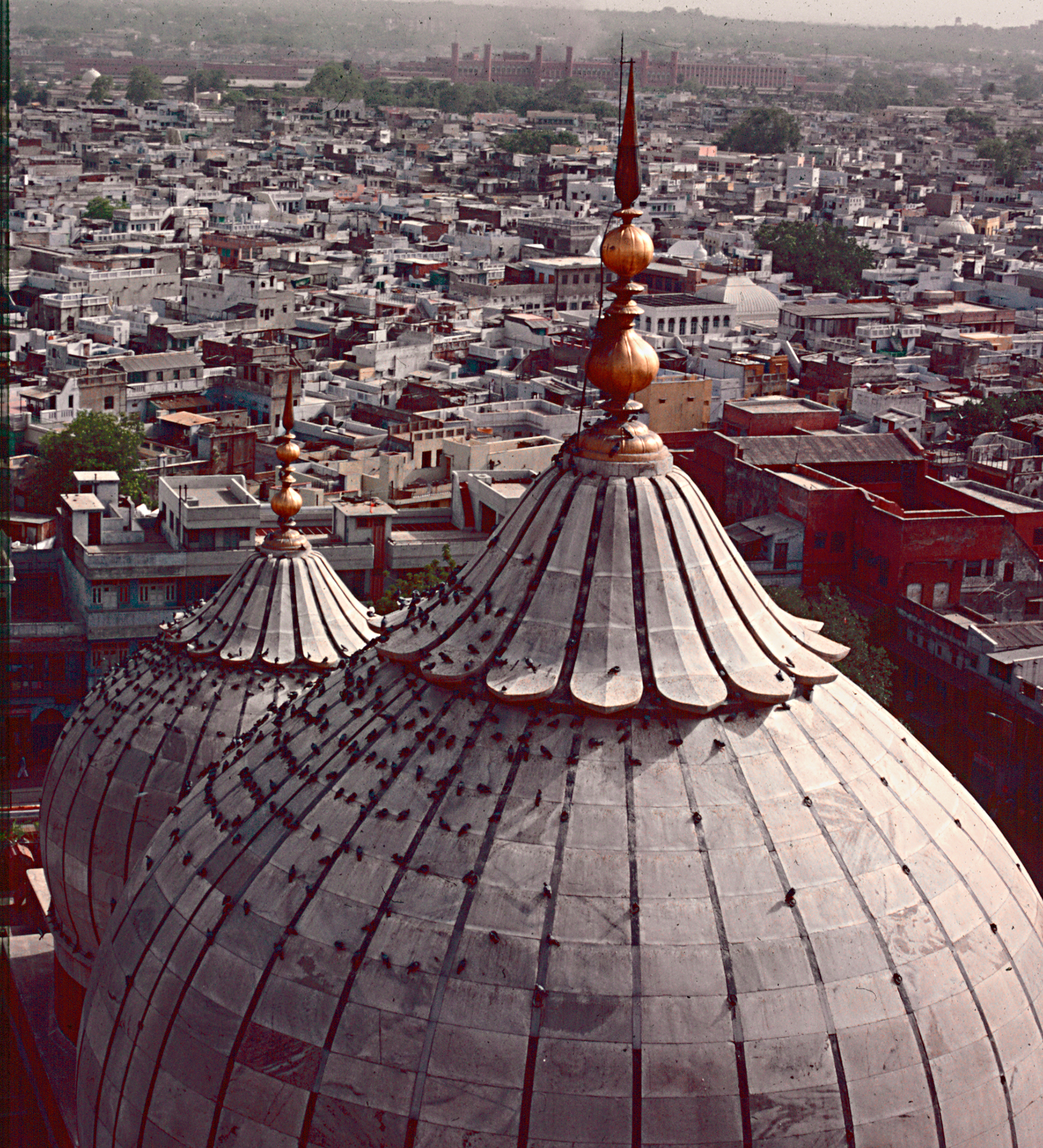 Delhi, 1982