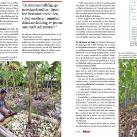 Reportaget om Maldiverna i Sydasien nr 3 2021