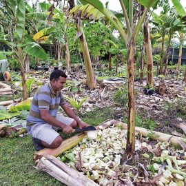 Odling på Maldiverna