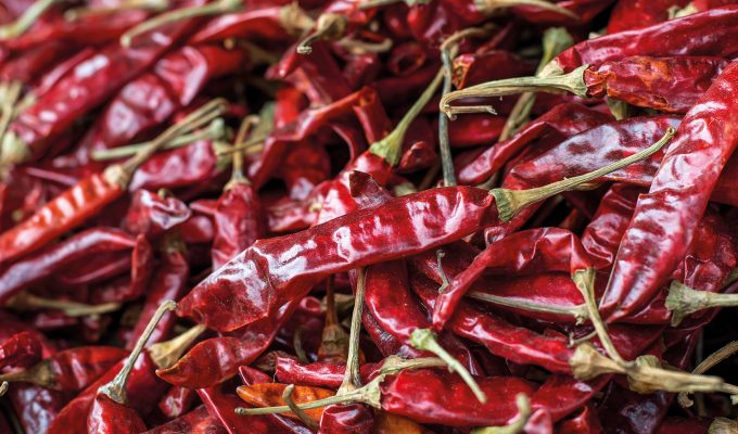 Red hot chilli peppers ... Bhutan