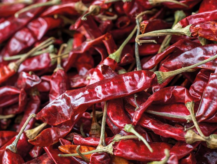 Red hot chilli peppers ... Bhutan