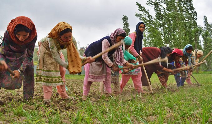 Bönder i Kashmir