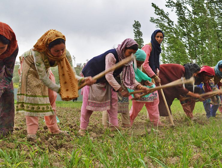 Bönder i Kashmir