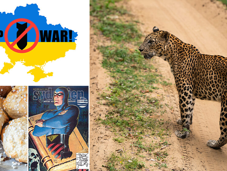 En dag för allt – från nedrustning och naturen till mandelkubben och serietidningen