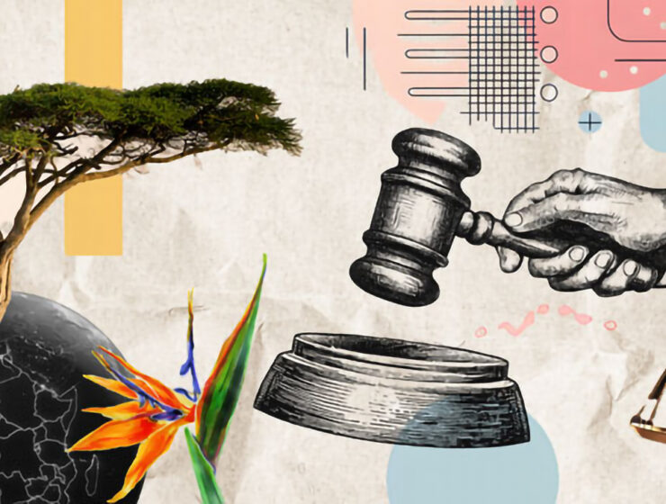 Rättvisa för planeten skipas i domstolar.