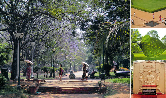 Bakom ”lucka nummer två” i Nyårskalendern 2025-2026 döljer sig en guide till indisk trädgårdshistoria.