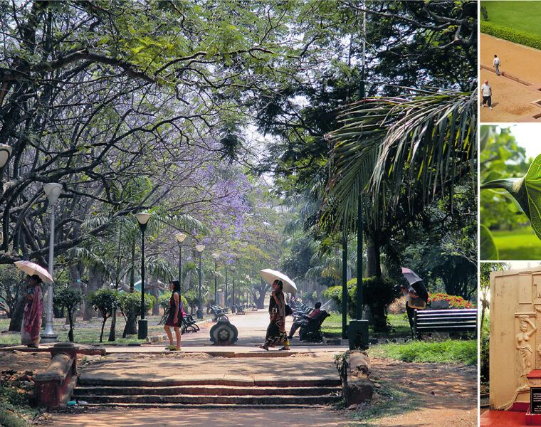 Bakom ”lucka nummer två” i Nyårskalendern 2025-2026 döljer sig en guide till indisk trädgårdshistoria.