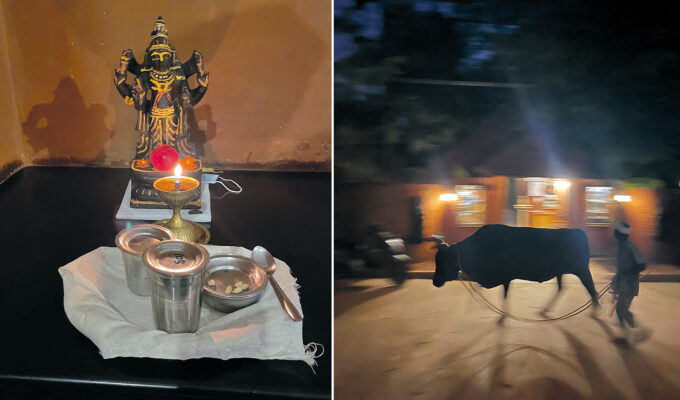 Följ med till Vaiydagrama, den ayurvediska byn i delstaten Tamil Nadu.