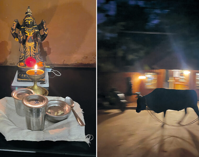 Följ med till Vaiydagrama, den ayurvediska byn i delstaten Tamil Nadu.