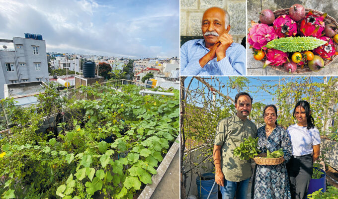 Reportaget ”Här skapas gröna oaser på hustak” i storstaden i Sidor av Sydasien – Nyanser