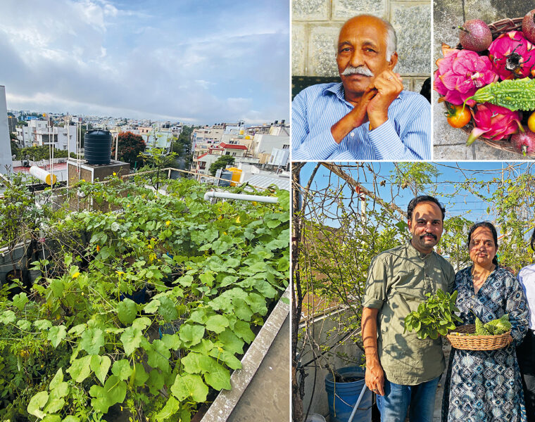Reportaget ”Här skapas gröna oaser på hustak” i storstaden i Sidor av Sydasien – Nyanser