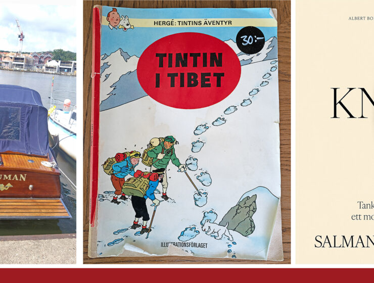 Motorbåten Hanuman i Litauen, seriealbumet Tintin i Tibet av Hergé och boken Kniv av Salman Rushdie.