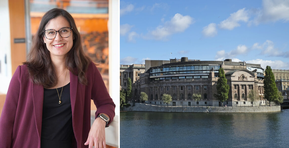 Nila Vikhe Patil valdes in i Sveriges riksdag för Miljöpartiet vid valet den 13 september 2026.
